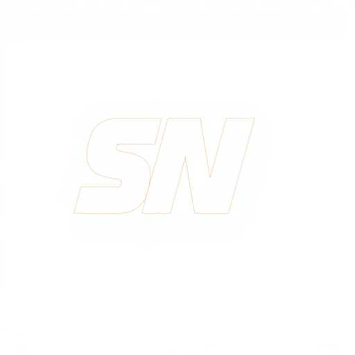 Desafios e Oportunidades do Jogo Online no Brasil